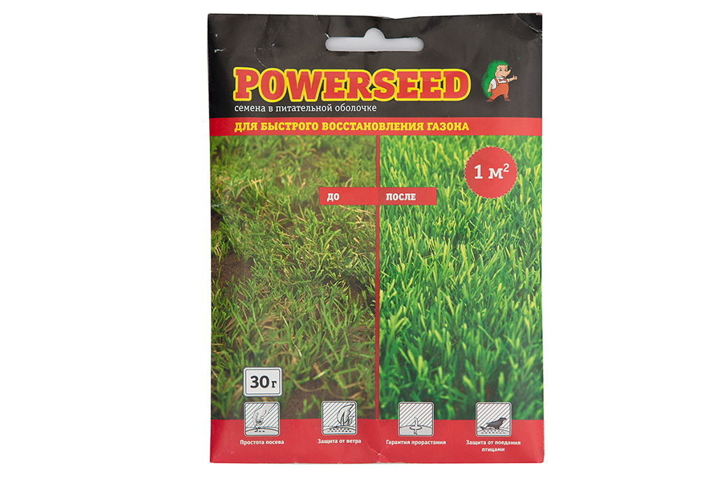 Семена: фотосъемка семян и газонной травы